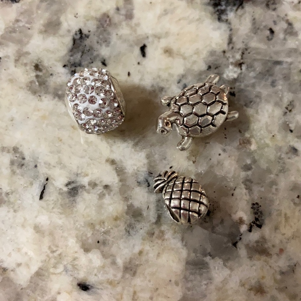 3 charms for Pandora bracelet. $6 for 3 charms.